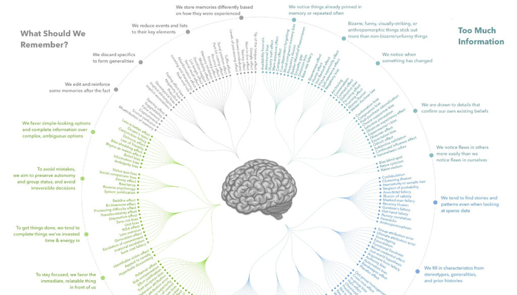 Exploring Cognitive Biases: A Guide to Understanding Human Irrationality