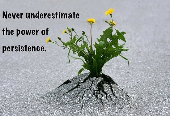 The Power of Persistence